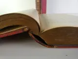 Oud medische encyclopedie - Dr. Paul Labarthe - 2 delen – foto 5 – kavel bij De Kringwinkel, Heverlee
