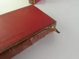 Oud medische encyclopedie - Dr. Paul Labarthe - 2 delen – foto 9 – kavel bij De Kringwinkel, Heverlee
