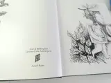 Twee kunstboeken – Pinchas Shaar & Antoni Gaudí – foto 3 – kavel bij De Kringwinkel, Heverlee