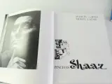 Twee kunstboeken – Pinchas Shaar & Antoni Gaudí – foto 4 – kavel bij De Kringwinkel, Heverlee