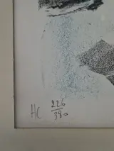 Expressief Gekleurd Portret – Originele Gelimiteerde Lithografie (HC 226/380) – foto 3 – kavel bij De Kringwinkel, Waardamme