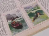 Vintage plaatjesalbums uit de jaren 1930–1950 – foto 6 – kavel bij De Kringwinkel, Heverlee