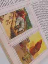Vintage plaatjesalbums uit de jaren 1930–1950 – foto 7 – kavel bij De Kringwinkel, Heverlee
