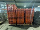 Ca. 52x Kunststof krat – foto 2 – kavel bij Onlineveilingmeester, Heerenveen