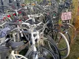 Ca. 55x Fiets, O.a. Batavus, Gazelle, Cortina – foto 14 – kavel bij Onlineveilingmeester, Budel
