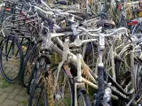 Ca. 55x Fiets, O.a. Batavus, Gazelle, Cortina – foto 5 – kavel bij Onlineveilingmeester, Budel