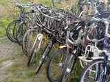 Ca. 55x Fiets, O.a. Batavus, Gazelle, Cortina – foto 9 – kavel bij Onlineveilingmeester, Budel