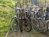 Ca. 55x Fiets, O.a. Batavus, Gazelle, Cortina – foto 10 – kavel bij Onlineveilingmeester, Budel