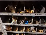 Partij installatiemateriaal in 4x magazijnkast – foto 29 – kavel bij Onlineveilingmeester, Hoogeveen