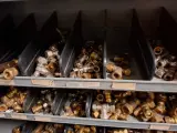 Partij installatiemateriaal in 2x magazijnkast – foto 19 – kavel bij Onlineveilingmeester, Hoogeveen