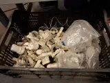 Combinatiekavel van kavel: 74 t/m 77 – foto 17 – kavel bij Onlineveilingmeester, Hoogeveen