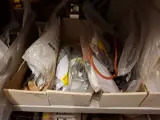 Partij installatiemateriaal in 2mtr stelling o.a. Intergas, Atag – foto 13 – kavel bij Onlineveilingmeester, Hoogeveen