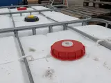 3x IBC-container, 1.000 liter, (leeg) – foto 5 – kavel bij Onlineveilingmeester, Heerenveen