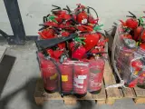 Partij draagbare brandblussers, (schuim- en/of poederblussers) – foto 5 – kavel bij Onlineveilingmeester, Heerenveen