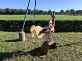 2x Speeltoestel, Schommel En Wipkip – foto 9 – kavel bij Onlineveilingmeester, Heerenveen