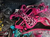 2x Inhoud stellingvak w.o. accessoires voor honden W.o. Sharon – foto 2 – kavel bij Onlineveilingmeester, Hoogeveen