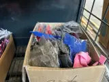 2x Inhoud stellingvak w.o. accessoires voor honden W.o. Sharon – foto 6 – kavel bij Onlineveilingmeester, Hoogeveen