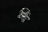 Swarovski Kristallen Instrumenten – foto 3 – kavel bij De Kringwinkel, Brecht