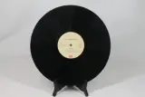 LP: Olivia Newton-John: Physical – foto 5 – kavel bij De Kringwinkel, Brecht