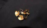 14 kt Gouden broche met parel en blauwe accentsteen – foto 5 – kavel bij De Kringwinkel, Izegem