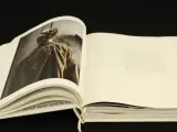 Karel Fonteyne - Œuvre 1968–2018 - monumentaal fotoboek – foto 8 – kavel bij De Kringwinkel, Antwerpen