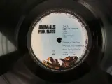 Vinylplaat Pink Floyd - Animals (1977) – foto 6 – kavel bij De Kringwinkel, Heverlee