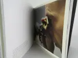 Twee fotografieboeken over Vlaanderen - Tom D'haenens – foto 10 – kavel bij De Kringwinkel, Heverlee