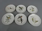 6 kleine Villeroy & Boch borden vogels – kavel bij De Kringwinkel, Diest
