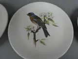 6 kleine Villeroy & Boch borden vogels – foto 3 – kavel bij De Kringwinkel, Diest