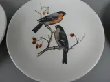 6 kleine Villeroy & Boch borden vogels – foto 6 – kavel bij De Kringwinkel, Diest