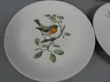 6 kleine Villeroy & Boch borden vogels – foto 7 – kavel bij De Kringwinkel, Diest