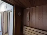 Finse sauna, Bonhof – foto 10 – kavel bij Onlineveilingmeester, assen