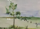 Aquarel, Maya Wildevuur, Weiland bij Beilen – kavel bij Onlineveilingmeester, Groningen