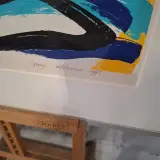 Zeefdruk in lijst, Maya Wildevuur, Vogel vissen, 1992, 36/175 – foto 5 – kavel bij Onlineveilingmeester, Groningen