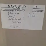Kunstwerk in lijst, Maya Wildevuur, Compositie – foto 8 – kavel bij Onlineveilingmeester, Groningen