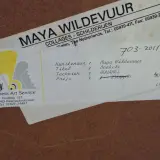 Aquarel, Maya Wildevuur, Boeket, 1990 – foto 8 – kavel bij Onlineveilingmeester, Groningen