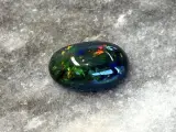 Black opal - 7.83 carat Natuurlijke Black opal – kavel bij Onlineveilingmeester