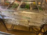 Ca. 37x Vijverartikelen, Velda – foto 3 – kavel bij Onlineveilingmeester, Dokkum