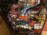 Ca. 200x Badmode, bikinibroekjes en -topjes, Cyell, Beachlife, Freya Etc – foto 5 – kavel bij Onlineveilingmeester, Dokkum