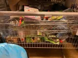 Ca. 114x Dierenbenodigdheden, Beeztees, Boon Nylon, Trixie Etc – foto 6 – kavel bij Onlineveilingmeester, Dokkum