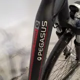 Elektrische damesfiets, Pegasus, Ravenna – foto 11 – kavel bij Domeinen Roerende Zaken, Groningen
