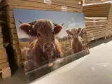 Schilderij gehard glas Koeien – kavel bij Onlineveilingmeester, Joure