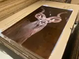 Schilderij gehard glas Kudu – foto 2 – kavel bij Onlineveilingmeester, Joure