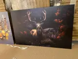 Schilderij gehard glas Hert Hoogwaardige kwaliteit – foto 3 – kavel bij Onlineveilingmeester, Joure