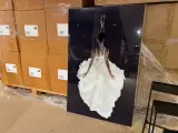 Schilderij gehard glas Ballerina Hoogwaardige kwaliteit Homebound – foto 2 – kavel bij Onlineveilingmeester, Joure