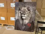 Schilderij gehard glas Leeuw roos Hoogwaardige kwaliteit Homebound – foto 2 – kavel bij Onlineveilingmeester, Joure