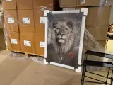 Schilderij gehard glas Leeuw roos Hoogwaardige kwaliteit Homebound – foto 3 – kavel bij Onlineveilingmeester, Joure