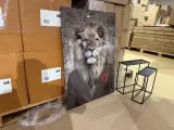 Schilderij gehard glas Leeuw roos Hoogwaardige kwaliteit Homebound – foto 5 – kavel bij Onlineveilingmeester, Joure