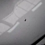 Personenauto, Renault, Megane, 2018 – foto 17 – kavel bij Domeinen Roerende Zaken, Soesterberg