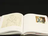 Olga Picasso – Edited by Emilia Philippot, Joachim Pissaro, Bernard Ruiz - Picasso – Gallimard/ Muséé national Picasso-Paris – foto 5 – kavel bij De Kringwinkel, Antwerpen